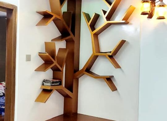 475650788_1004802801701067_1133172028633270141_n