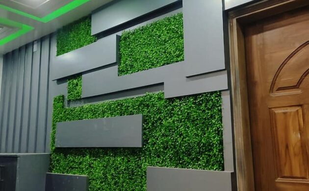 476367207_1004802651701082_6013254892881625103_n