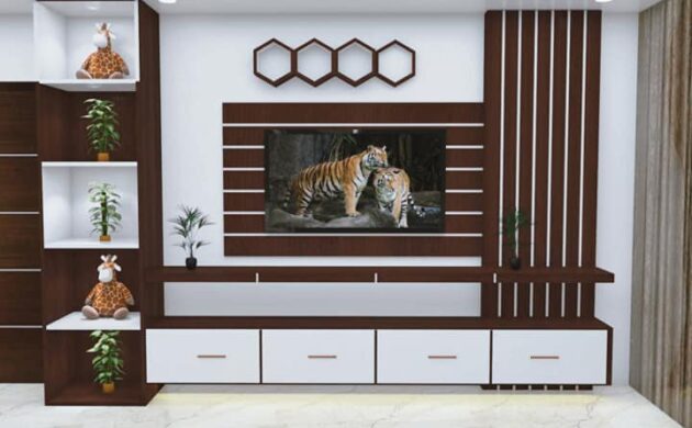 TV Cabinet_Mohakhali DOHS_Afsar uddin